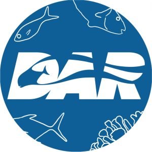 DAR social media logo