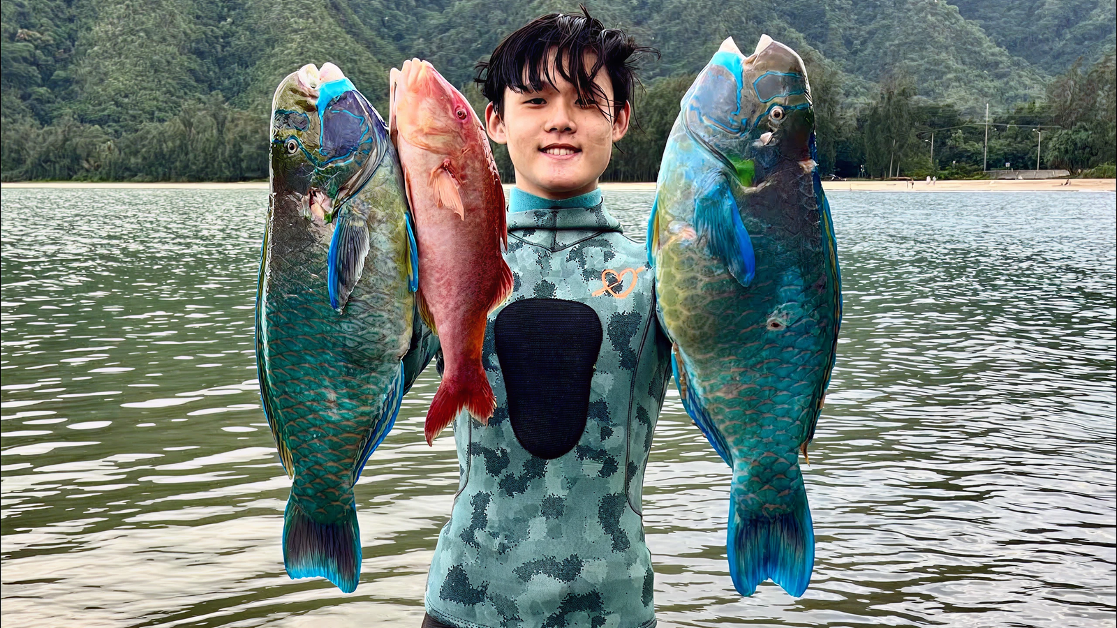 Commercial Uhu Fishing Permit​