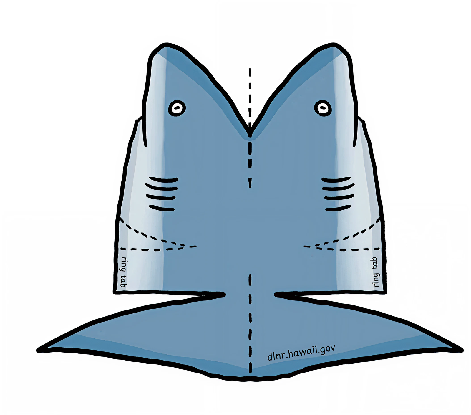 shark