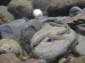 016f065780365247e81043b347e29799df915936