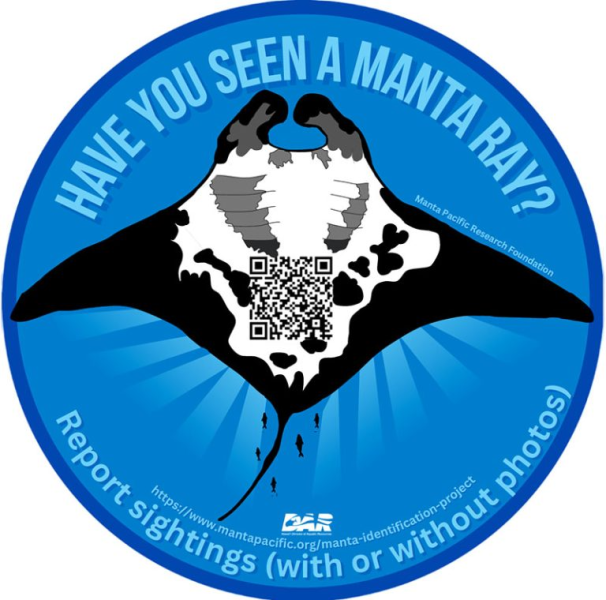 054e8fa3f4eb97970787951bafc23549b2626d31