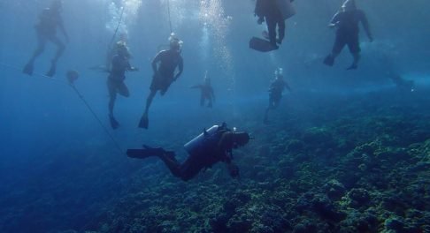 06A5C54F-4A61-4A3A-8524-25F83FBF208E