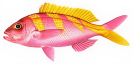 06db886a5f66030c2994c425fcd05603e2b9608f