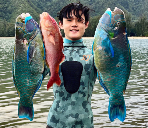 Commercial Uhu Fishing Permit​