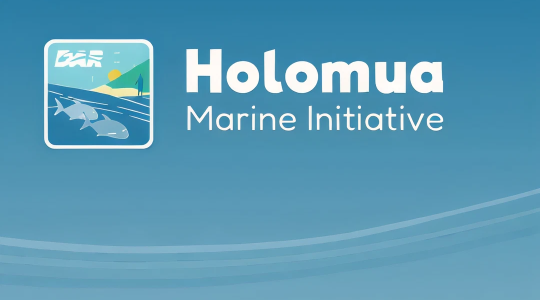 0bb4fba4c7096102ac8d7880cf0e12a17108fd8c