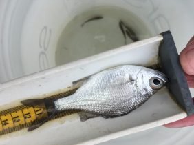 0bc6f8e29f1e2f6fd4f193460fd5b0a77dafa5c1