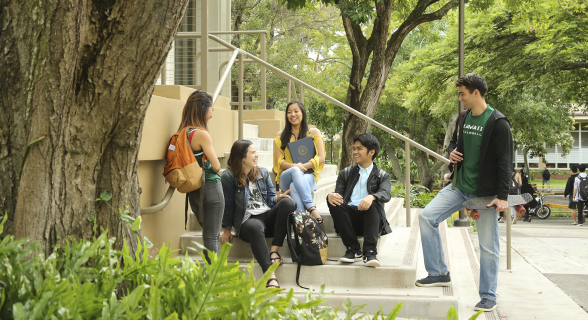 163b8edeffd10a4b5f1e445fb88e53194cfeb919