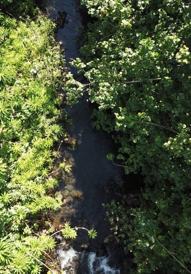 Waiohue Stream Drone