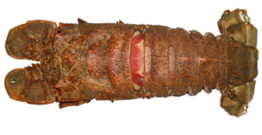 16a28b25b669c23104d73de430fb28c650b9bc45