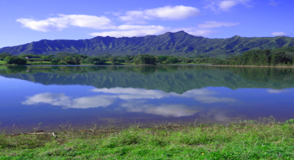 1a16ed07c12663a5d7f1e5aa62168c7b26910e38