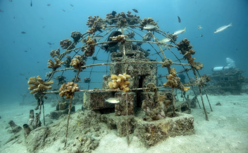 1dbaf00a9560ec847ff074265408ae69fac7d215