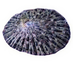 1ec4f488e8fc8e5dc79fdd8fb6deb920b5c72de3