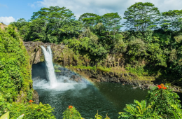 22e1e2beb115e4db3c476e8e6b3302a8760dfbd4