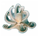 23923f44baf77c273e944340ba0f6838c8c5fb25