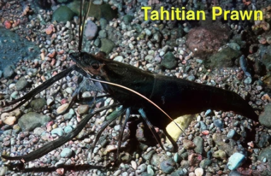 2556e898af7c102d35d6cf3ea1f00b0cfc998ff6