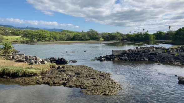 268ac95943a49a3d295477aafbc3e2d1c525f295