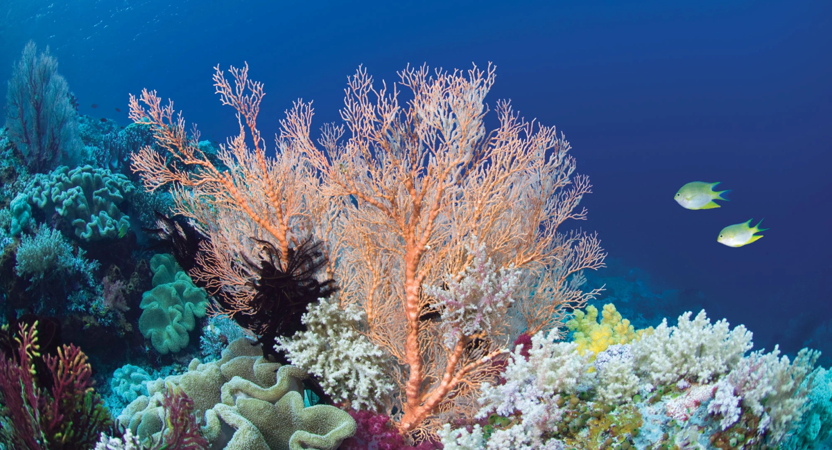 27b0609946c7b5ccd476f3fd64bd6dc016fe4945