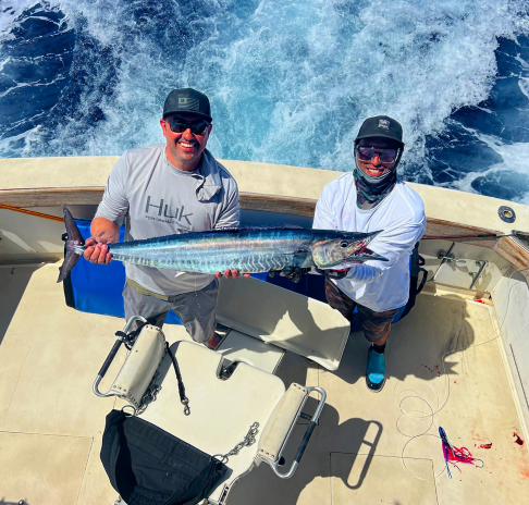 Reporting & Compliance