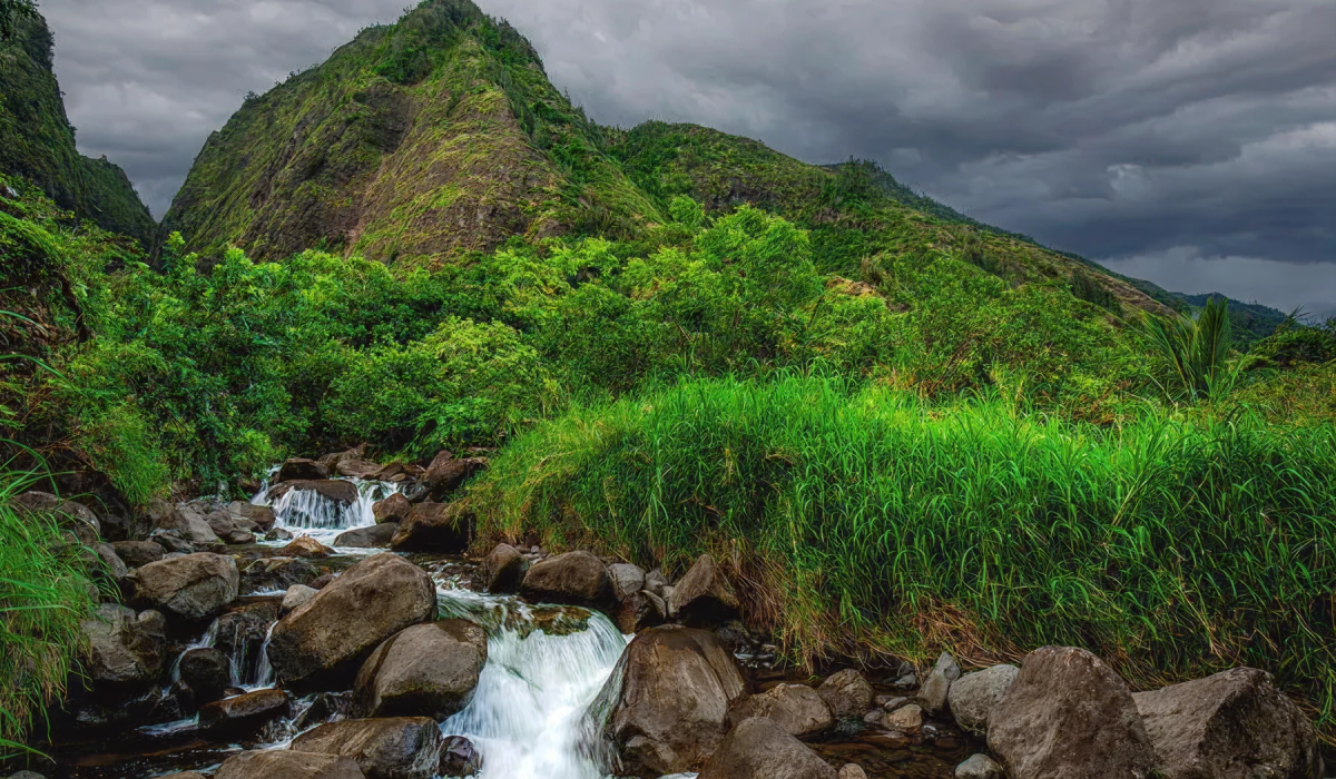 3253226962c5d0aa4c712b4bb70db91bfe4182fc