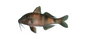 3292cca810b75c78d9f5b1df2e26caeeb4ed999a