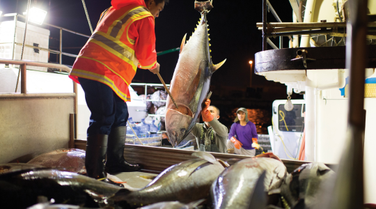 32ae182b335b6caa5d6061a701665d3024459b8f