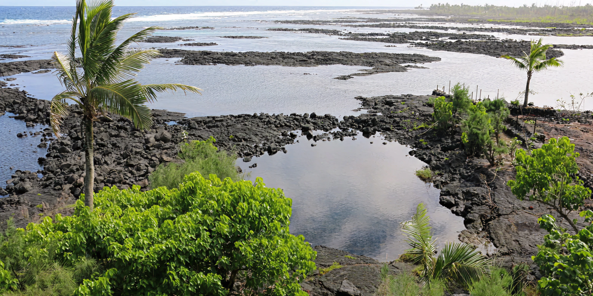 3356df67ab83c69b46f2eb497569f42de6c0f87d