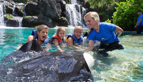 33dbb830c023912b29bb26b6c7ada87d3f2901ad