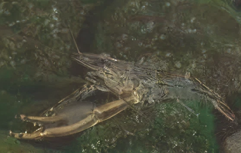 358c14d9e84830fe3c29a5d5e0199f900d0f6bec