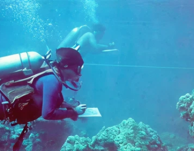 3628c15f3e2cdcd6e2a0d44ee63264b180cefa35