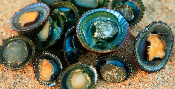 39fe085c3eca26e210907045a6a8059d8047fd6e