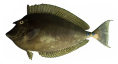 3b6f3202bda4d0c6882a002c8b36139a896e091b