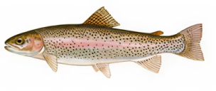 3f5dd1ddb1ca0c4fee25c58ddbb7dd9ae21f0832