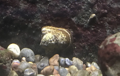 410df2215424f42edf3b14cca9fffa07bb324d55