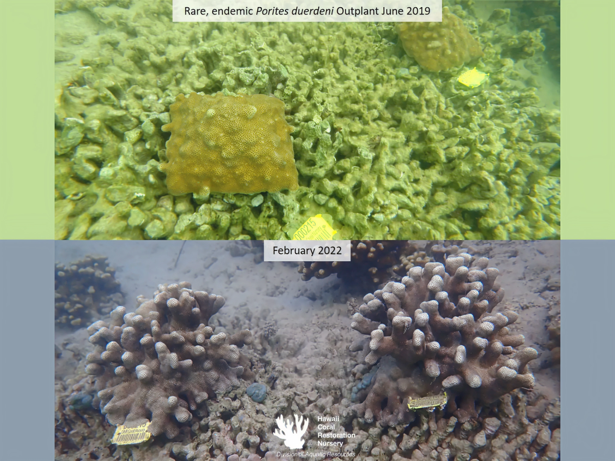 419c06c56a1ee31fc2610b41200763e16f254fe7