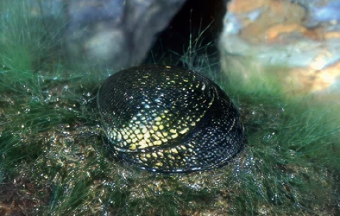 443e950854f58067e1c3cdcd09cb420c1870a2ee