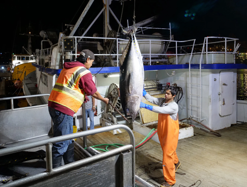 48b5e2be7361941a1cb9d57f68f7dd4fafeff0f1 (1)