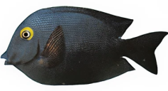 48bec092182c11901de26d4d2485a4d634f6ed2b