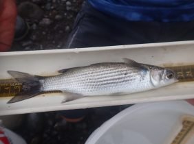 4b2f829b65f7f39d61d289d360105796099167b7