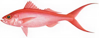 4cc20bf4cf12a291e3d1e0a66e60edbdf64ae099 (1)