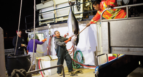 4d5efeabb12e20e85c4790a28fdceca18d1dd46c