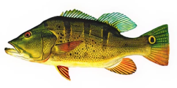 4e04381354bd591a3a69a91a165b2c24fa849327