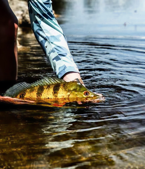 503853222cf10a388d2343982e47913c00b7775d