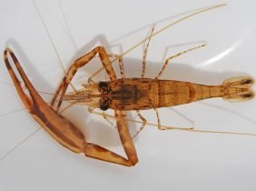 ????????????????????????????????????