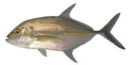 5db160d66c288344ccc43402e4ebf23c324fcf8f