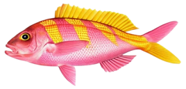 6009509ef08529af95f38ea913776915d8dda858