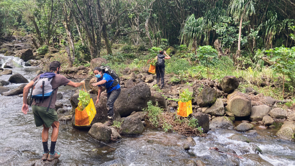 6508f0ea1e732d1cac644ad8874dbcf53dbdb458