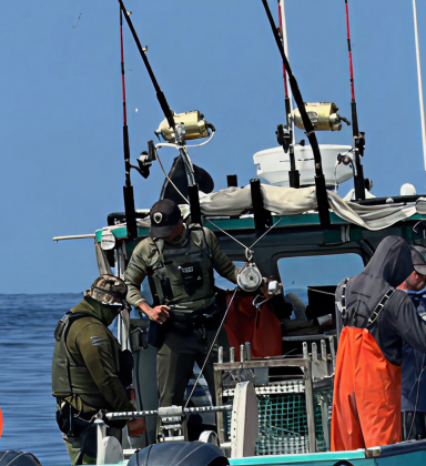 Bottomfish Vessel Registration