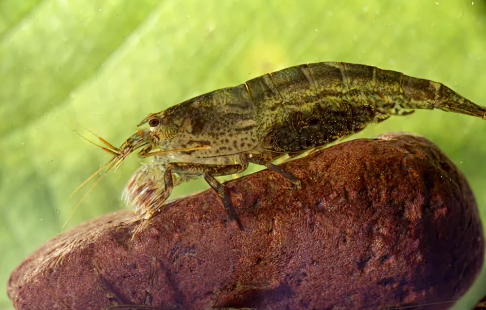 67062382a426aaaf211904480c27fe6bb7b05d9b