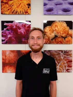 6a6897e87edc6f23293aa1a374a480313edef6a2