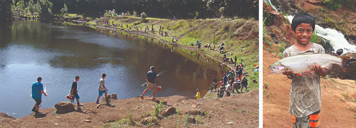 6bd826a2cb304e7246997432c87de6ae82572d65